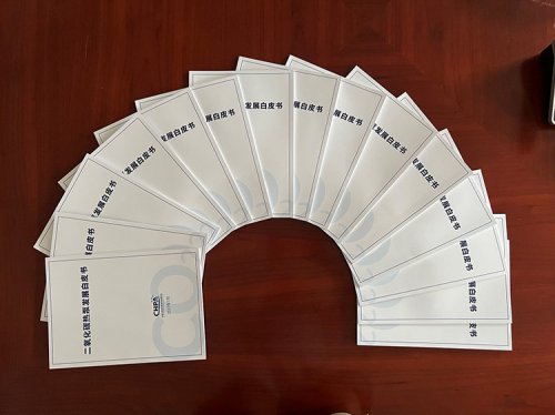 重磅！《二氧化碳熱泵發(fā)展白皮書》正式印發(fā)